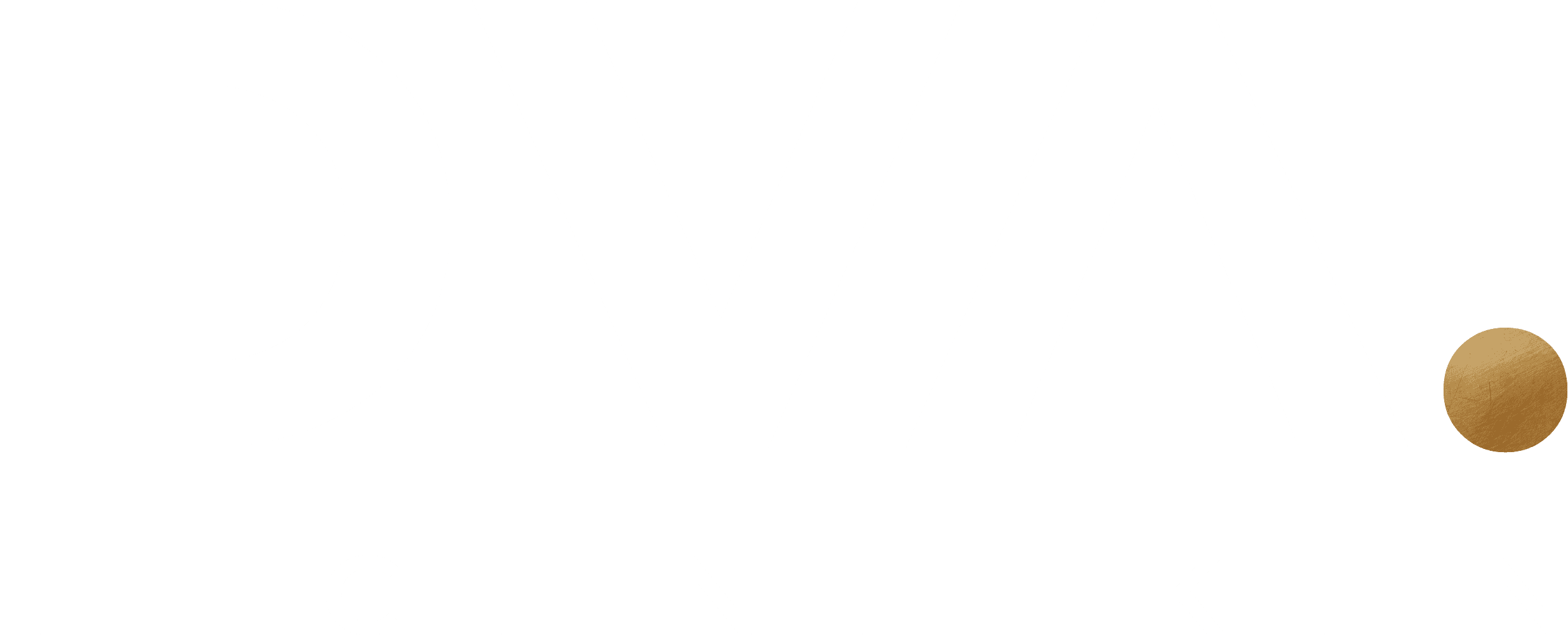DVA Technieken logo